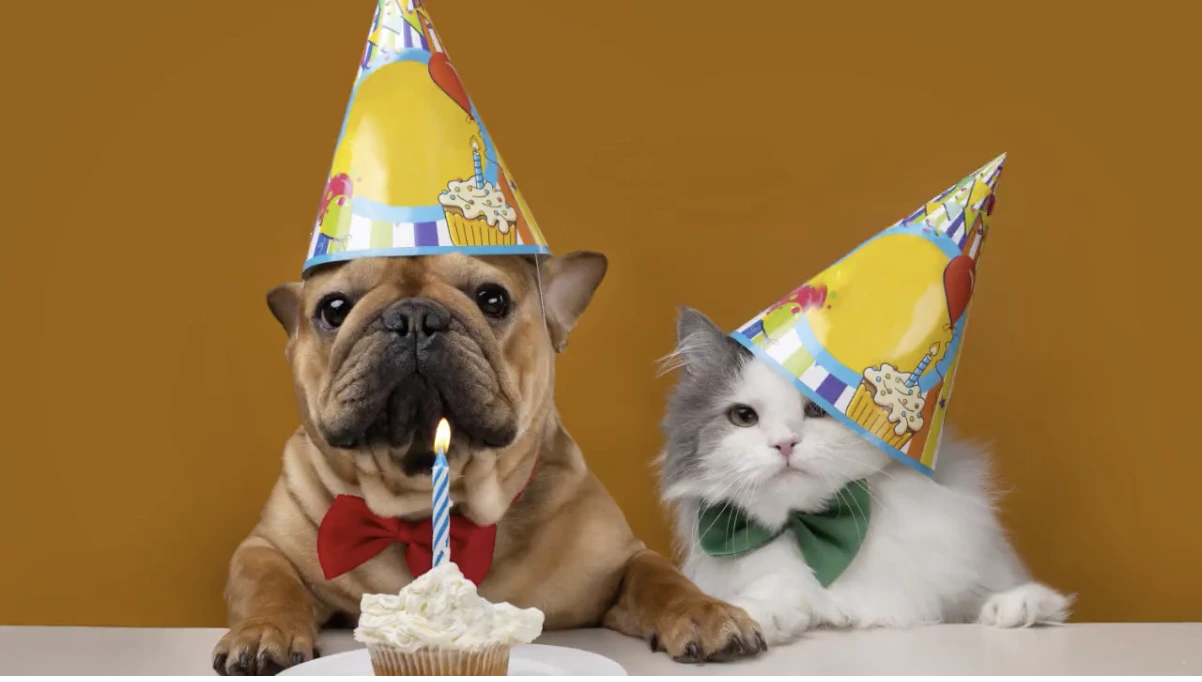 Feliz aniversário amigo GIFs - 50 cartões animados de graça